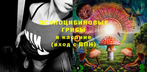 стафф Алексеевка