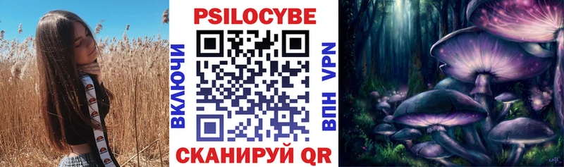 Купить закладки  Комсомольск  Псилоцибиновые грибы MAGIC MUSHROOMS 